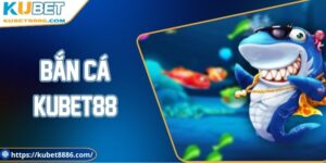 Ảnh đại diện bắc cá Kubet88